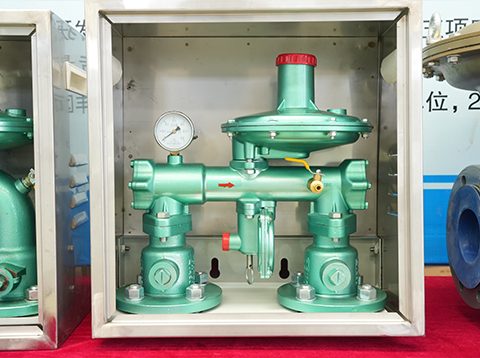 Gas Pressure Regulating Box 